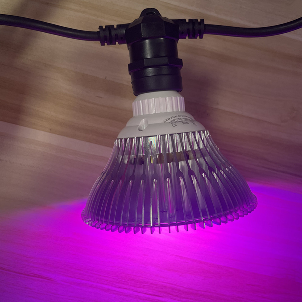 10M Cable LED String Commercia - огляд і ціна Lighting Decoration Ideas