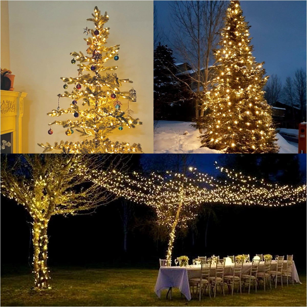 More LED Green Wire Garland St - огляд і ціна Lighting Decor And More